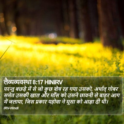 लैव्यव्यवस्था 8:17 HINIRV Bible Verse Image