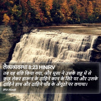 लैव्यव्यवस्था 8:23 HINIRV Bible Verse Image