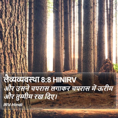 लैव्यव्यवस्था 8:8 HINIRV Bible Verse Image