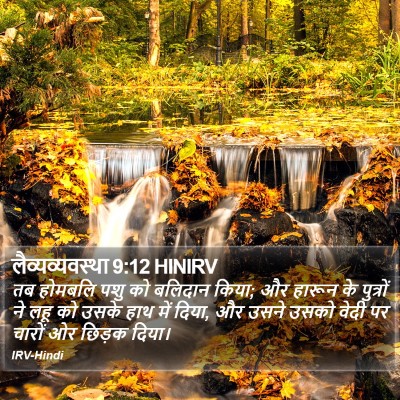 लैव्यव्यवस्था 9:12 HINIRV Bible Verse Image
