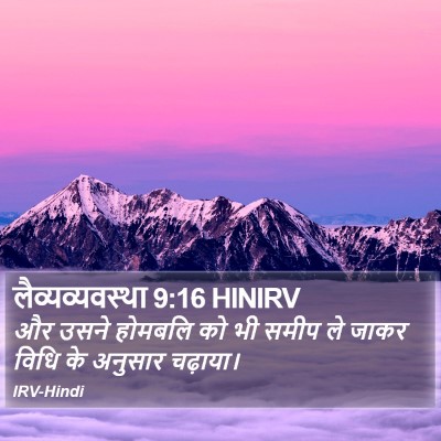 लैव्यव्यवस्था 9:16 HINIRV Bible Verse Image