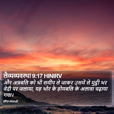 लैव्यव्यवस्था 9:17 HINIRV Bible Verse Image