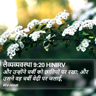 लैव्यव्यवस्था 9:20 HINIRV Bible Verse Image