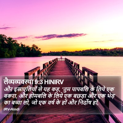 लैव्यव्यवस्था 9:3 HINIRV Bible Verse Image
