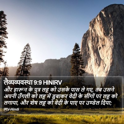 लैव्यव्यवस्था 9:9 HINIRV Bible Verse Image