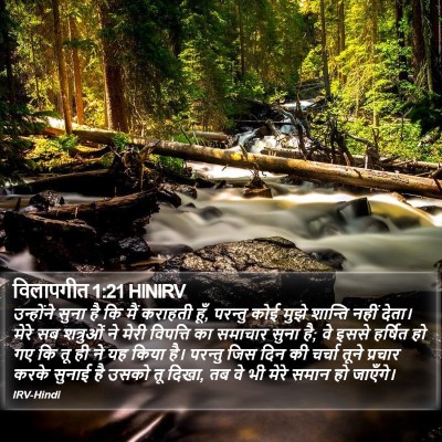 विलापगीत 1:21 HINIRV Bible Verse Image
