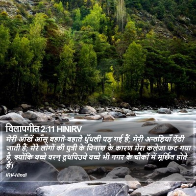 विलापगीत 2:11 HINIRV Bible Verse Image