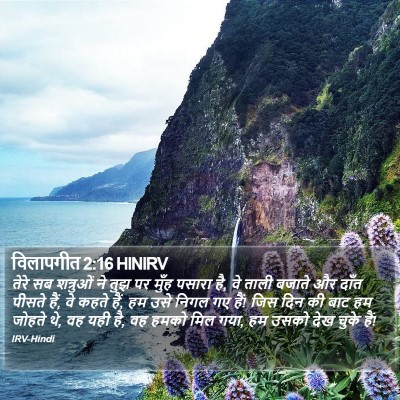 विलापगीत 2:16 HINIRV Bible Verse Image