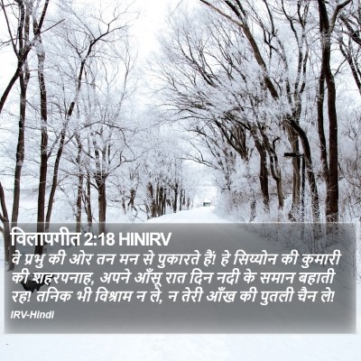 विलापगीत 2:18 HINIRV Bible Verse Image