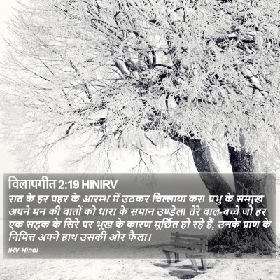 विलापगीत 2:19 HINIRV Bible Verse Image