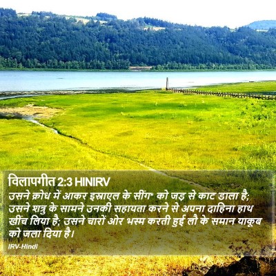 विलापगीत 2:3 HINIRV Bible Verse Image