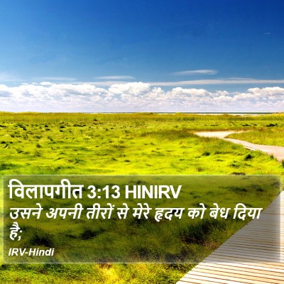 विलापगीत 3:13 HINIRV Bible Verse Image