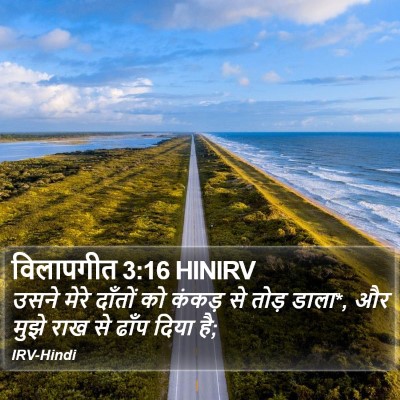विलापगीत 3:16 HINIRV Bible Verse Image