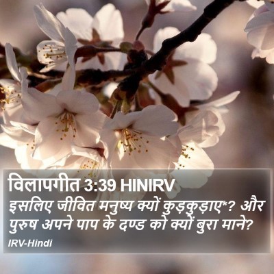 विलापगीत 3:39 HINIRV Bible Verse Image