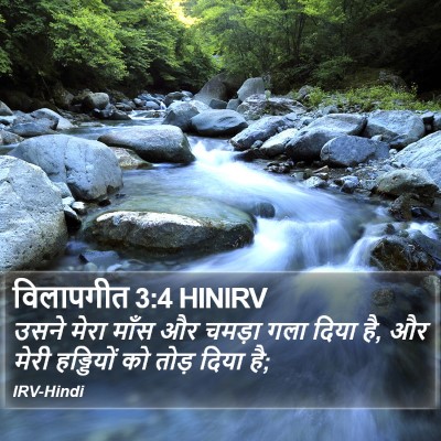 विलापगीत 3:4 HINIRV Bible Verse Image