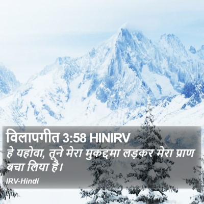 विलापगीत 3:58 HINIRV Bible Verse Image