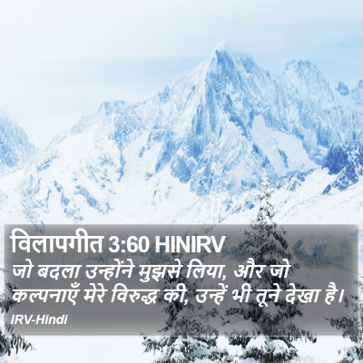 विलापगीत 3:60 HINIRV Bible Verse Image