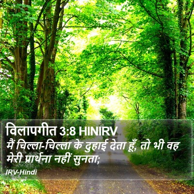 विलापगीत 3:8 HINIRV Bible Verse Image