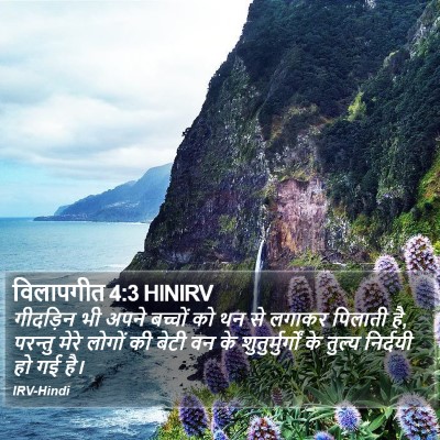 विलापगीत 4:3 HINIRV Bible Verse Image