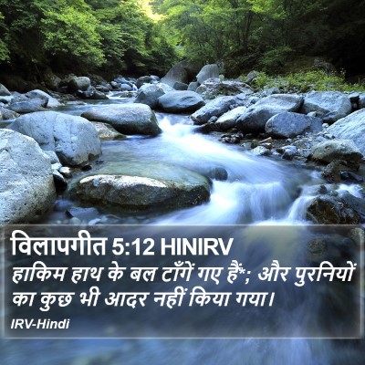 विलापगीत 5:12 HINIRV Bible Verse Image