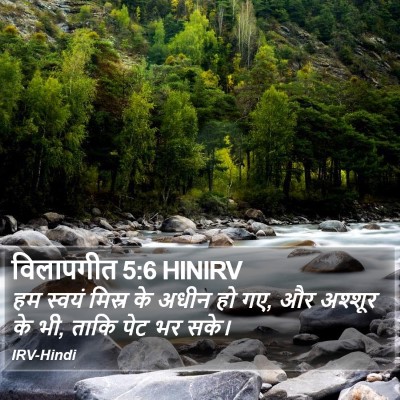 विलापगीत 5:6 HINIRV Bible Verse Image