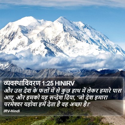 व्यवस्थाविवरण 1:25 HINIRV Bible Verse Image