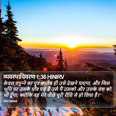 व्यवस्थाविवरण 1:36 HINIRV Bible Verse Image
