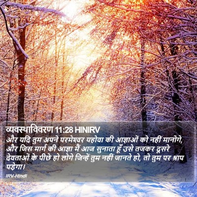 व्यवस्थाविवरण 11:28 HINIRV Bible Verse Image
