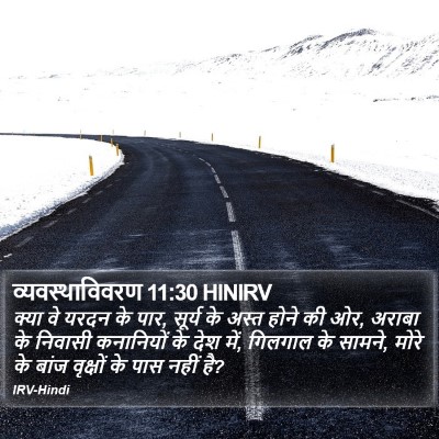 व्यवस्थाविवरण 11:30 HINIRV Bible Verse Image