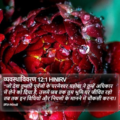 व्यवस्थाविवरण 12:1 HINIRV Bible Verse Image