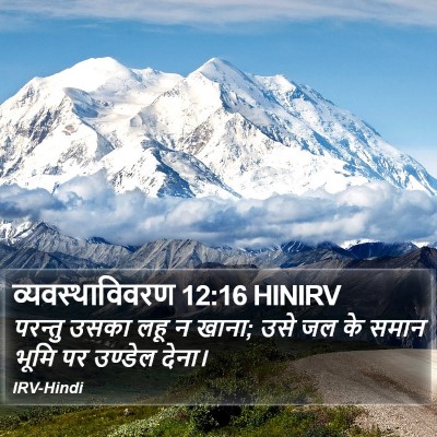 व्यवस्थाविवरण 12:16 HINIRV Bible Verse Image