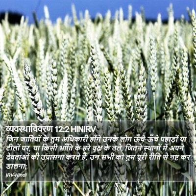 व्यवस्थाविवरण 12:2 HINIRV Bible Verse Image