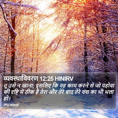 व्यवस्थाविवरण 12:25 HINIRV Bible Verse Image