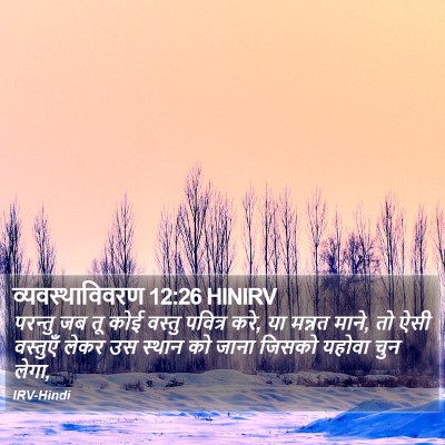 व्यवस्थाविवरण 12:26 HINIRV Bible Verse Image