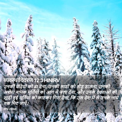 व्यवस्थाविवरण 12:3 HINIRV Bible Verse Image