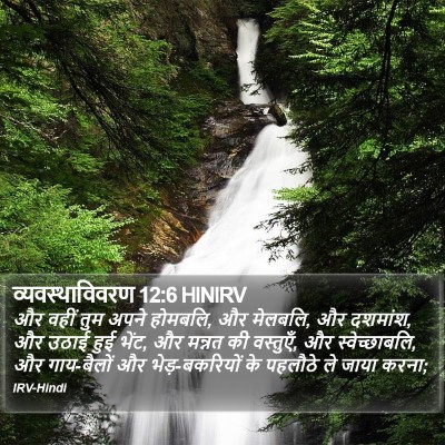व्यवस्थाविवरण 12:6 HINIRV Bible Verse Image