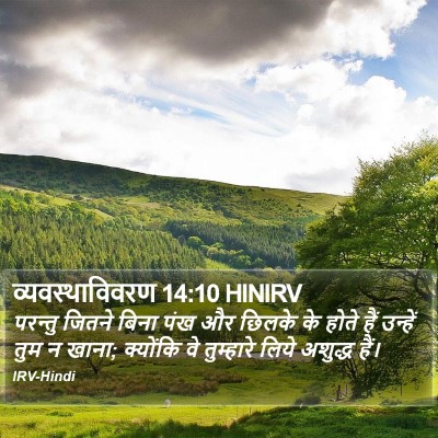 व्यवस्थाविवरण 14:10 HINIRV Bible Verse Image