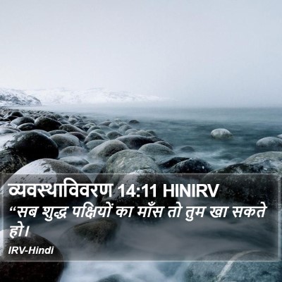 व्यवस्थाविवरण 14:11 HINIRV Bible Verse Image