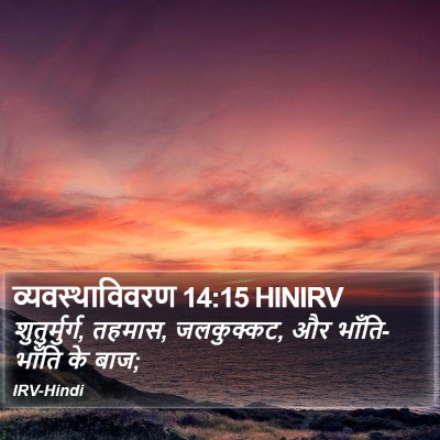 व्यवस्थाविवरण 14:15 HINIRV Bible Verse Image