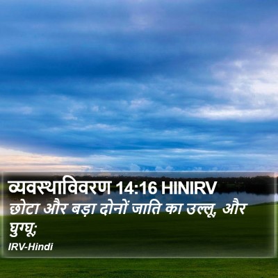 व्यवस्थाविवरण 14:16 HINIRV Bible Verse Image