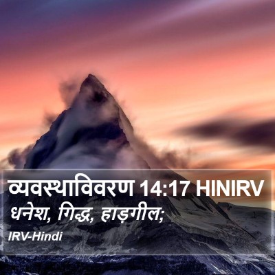 व्यवस्थाविवरण 14:17 HINIRV Bible Verse Image