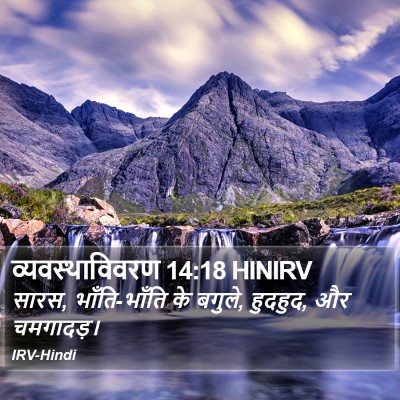 व्यवस्थाविवरण 14:18 HINIRV Bible Verse Image