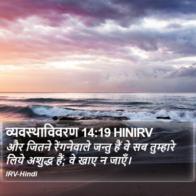 व्यवस्थाविवरण 14:19 HINIRV Bible Verse Image