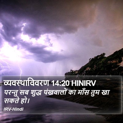 व्यवस्थाविवरण 14:20 HINIRV Bible Verse Image