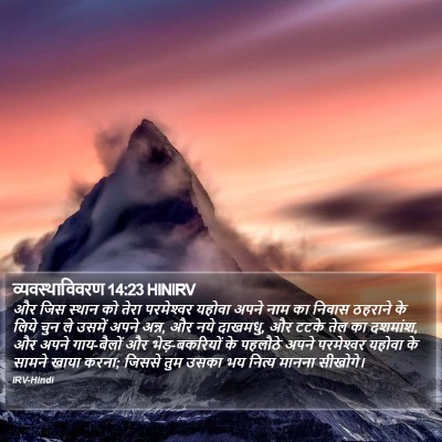 व्यवस्थाविवरण 14:23 HINIRV Bible Verse Image