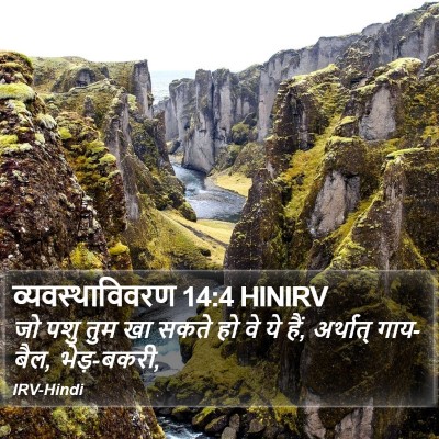व्यवस्थाविवरण 14:4 HINIRV Bible Verse Image