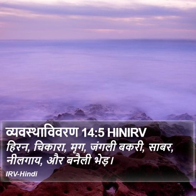 व्यवस्थाविवरण 14:5 HINIRV Bible Verse Image