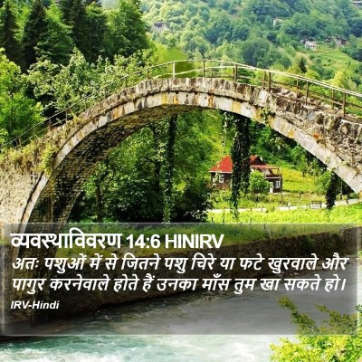 व्यवस्थाविवरण 14:6 HINIRV Bible Verse Image
