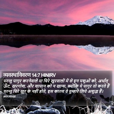 व्यवस्थाविवरण 14:7 HINIRV Bible Verse Image