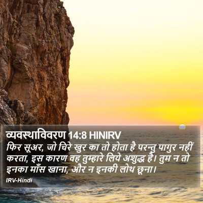 व्यवस्थाविवरण 14:8 HINIRV Bible Verse Image